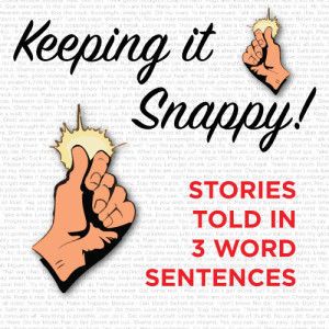 keeping-it-snappy-storyslams.com